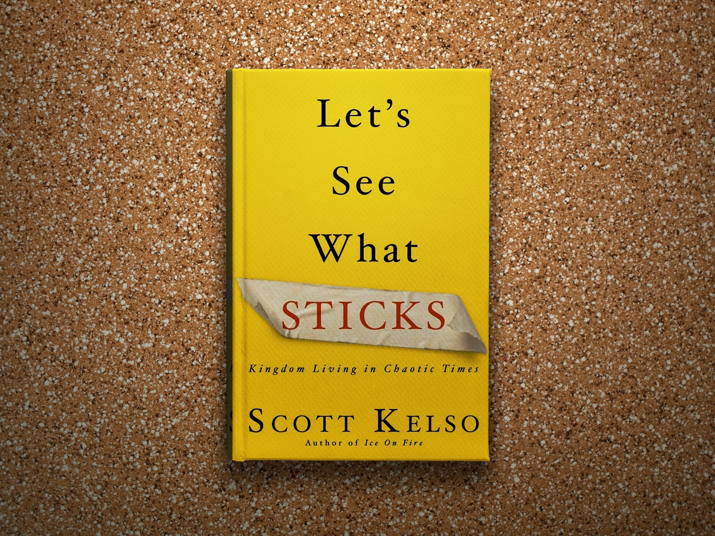 Let’s See What Sticks Book Cover Design
