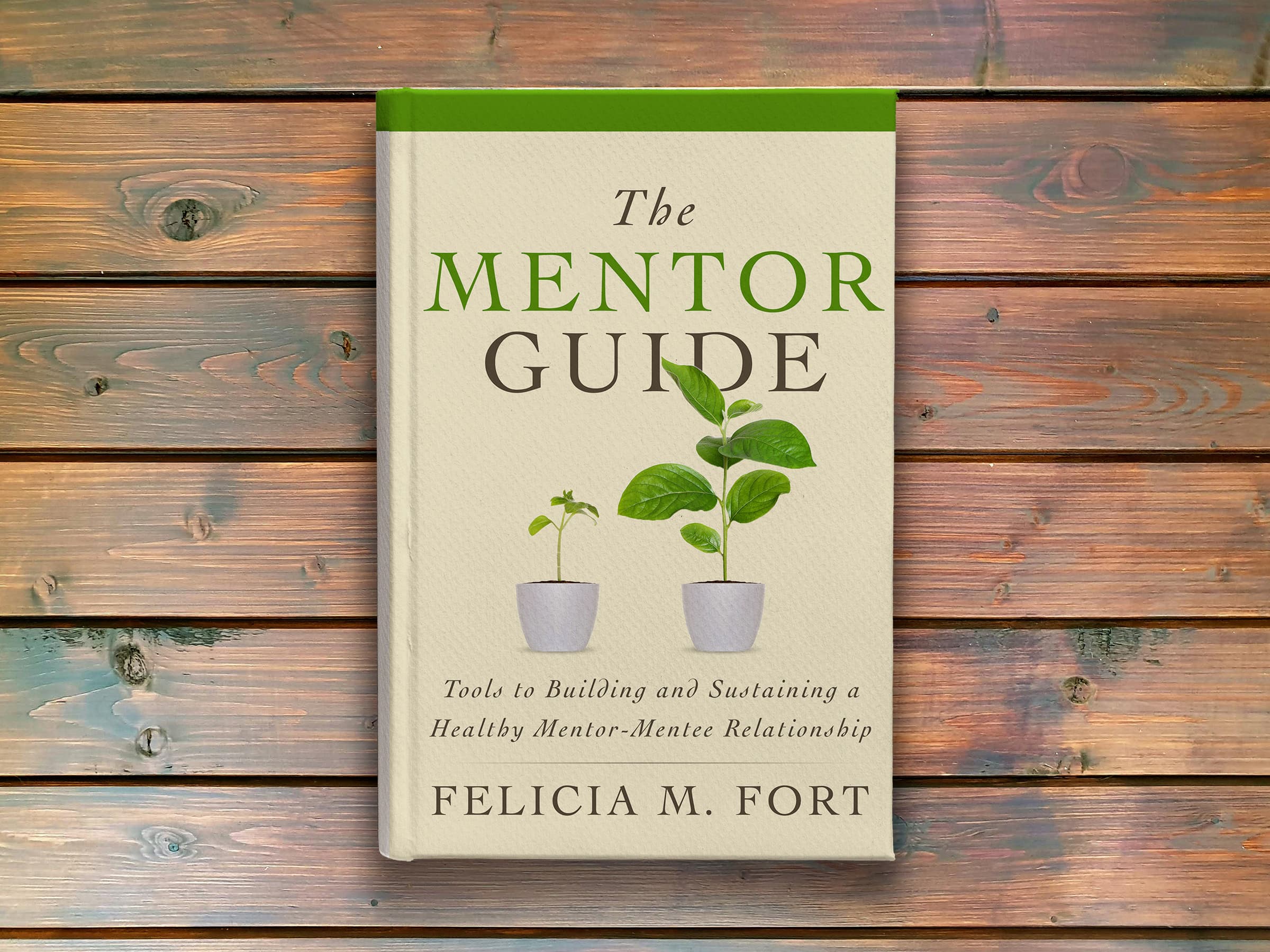 The Mentor Guide Book Jacket Design
